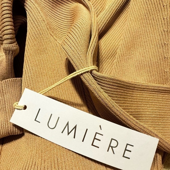 Lumiere Turtleneck Sweater Dress - Picture 4 of 5